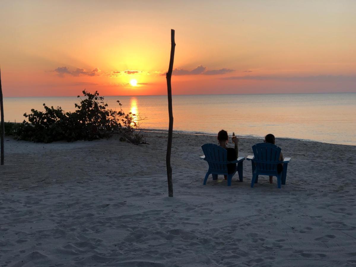 Playa 55 Beach Escape - Adults Only Guesthouse سيليستون المظهر الخارجي الصورة