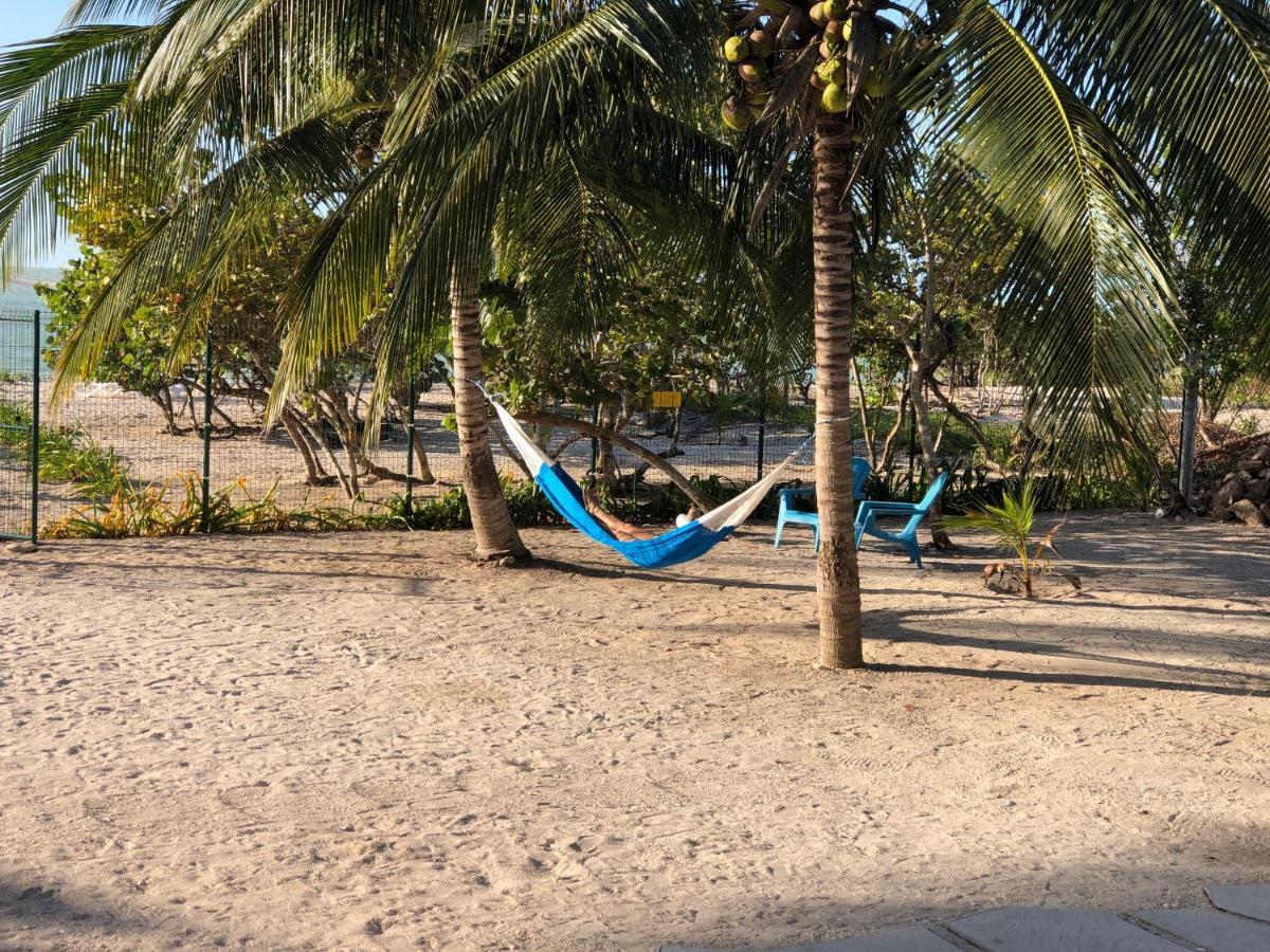 Playa 55 Beach Escape - Adults Only Guesthouse سيليستون المظهر الخارجي الصورة