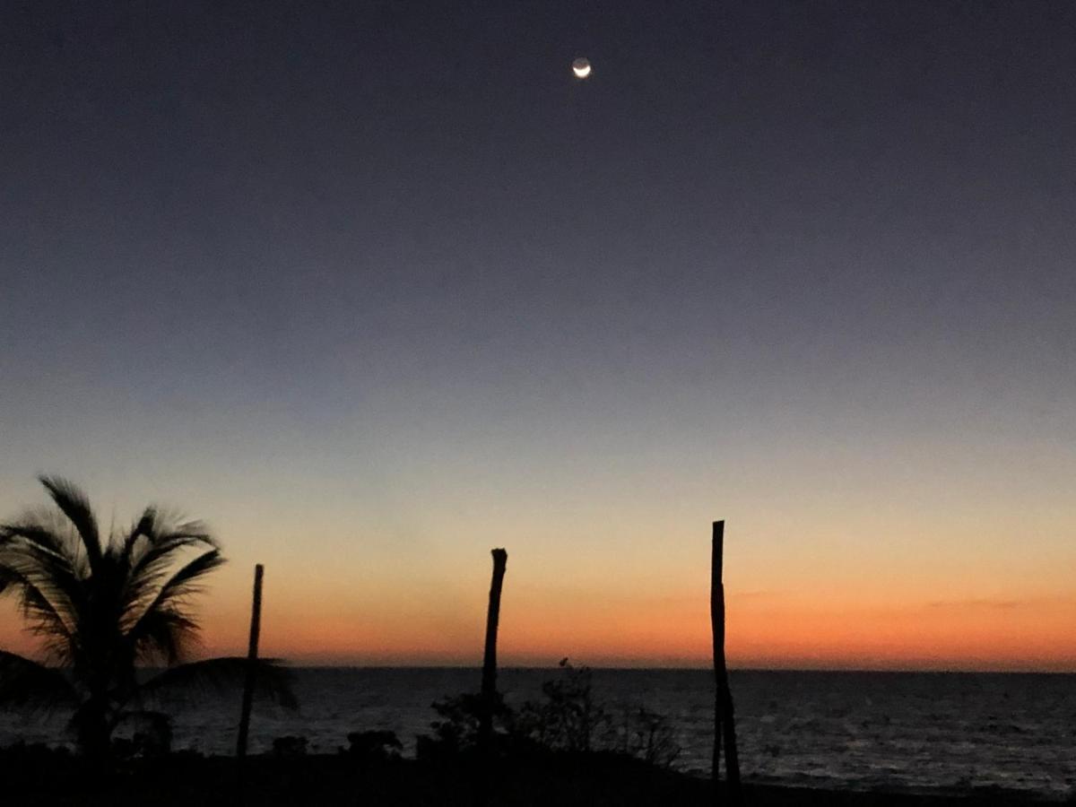 Playa 55 Beach Escape - Adults Only Guesthouse سيليستون المظهر الخارجي الصورة