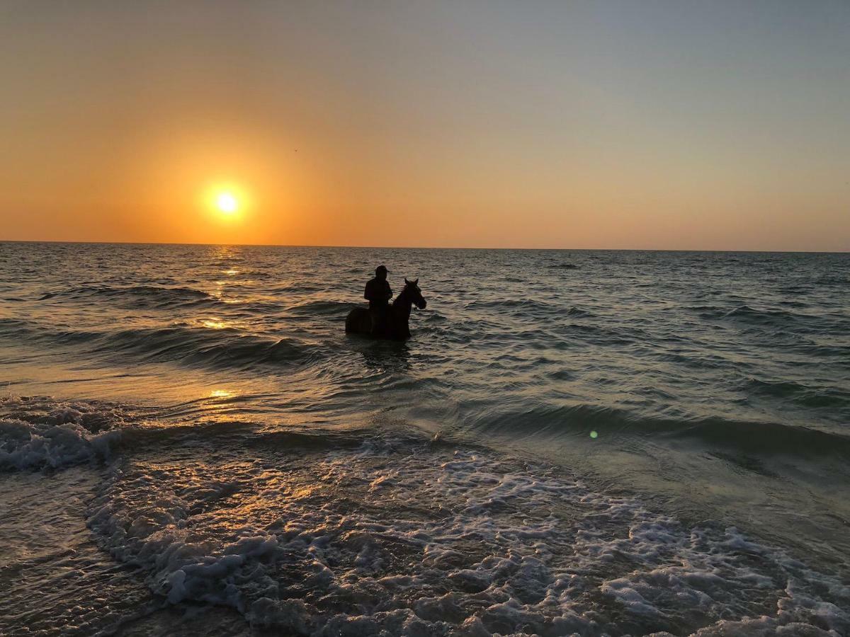Playa 55 Beach Escape - Adults Only Guesthouse سيليستون المظهر الخارجي الصورة